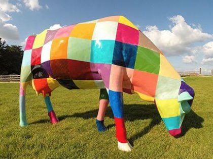 Image of the Patchwork Cow Cow