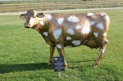 Image of the Golden Bulbs Cow