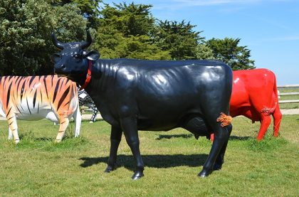 Image of the Rhona Cow