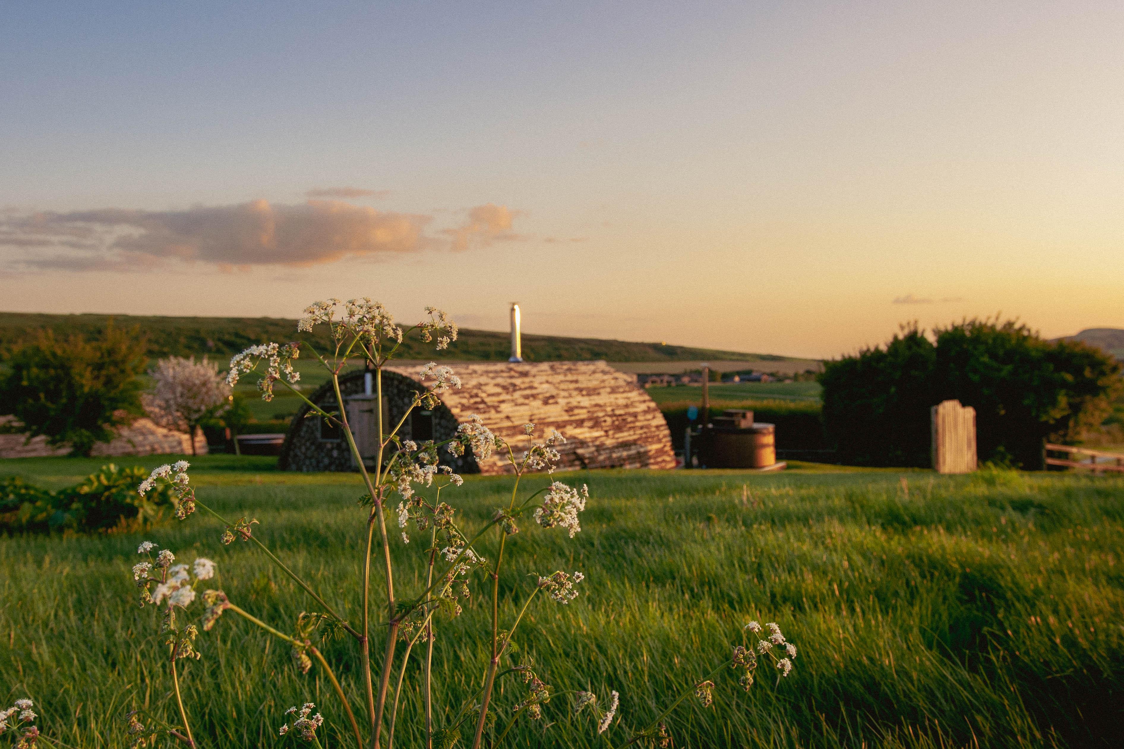 Tapnell Farm modulog PH imagery