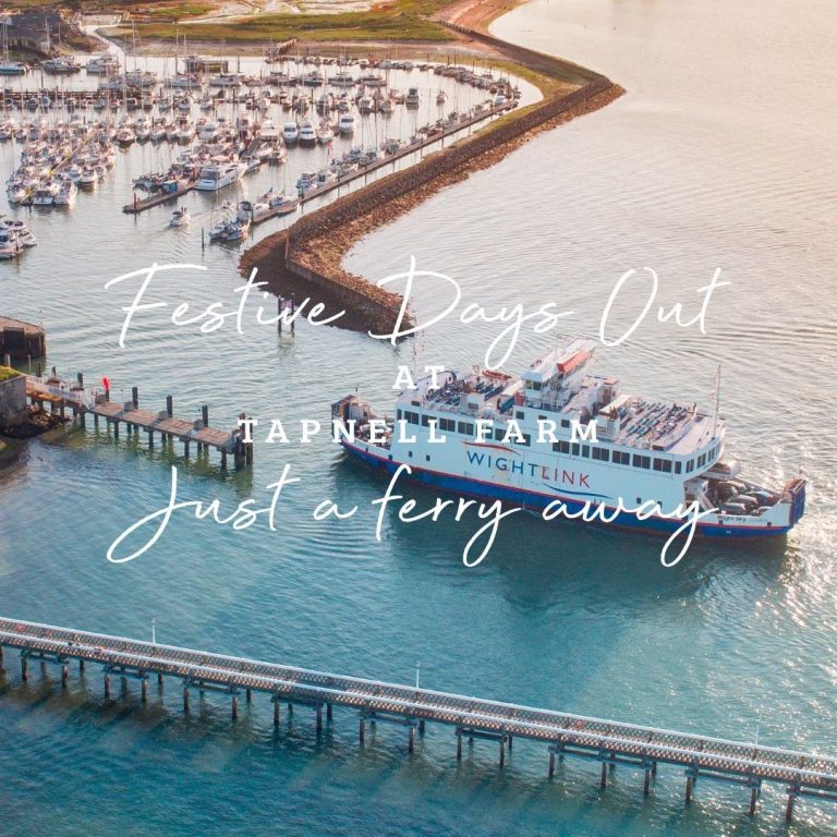 Festive Days Out Wightlink