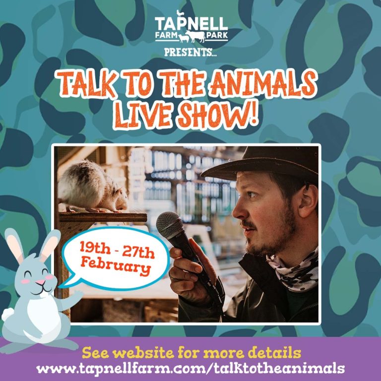 TAPNELL FARM PARK TALK TO THE ANIMALS SHOW SOCIAL SQUARE