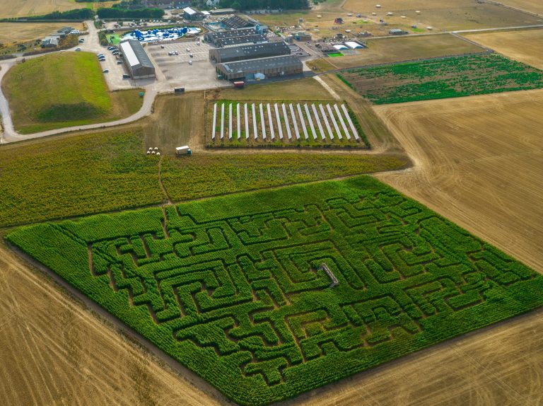 Tapnell Farm Maize Maze aerial 30 July PH