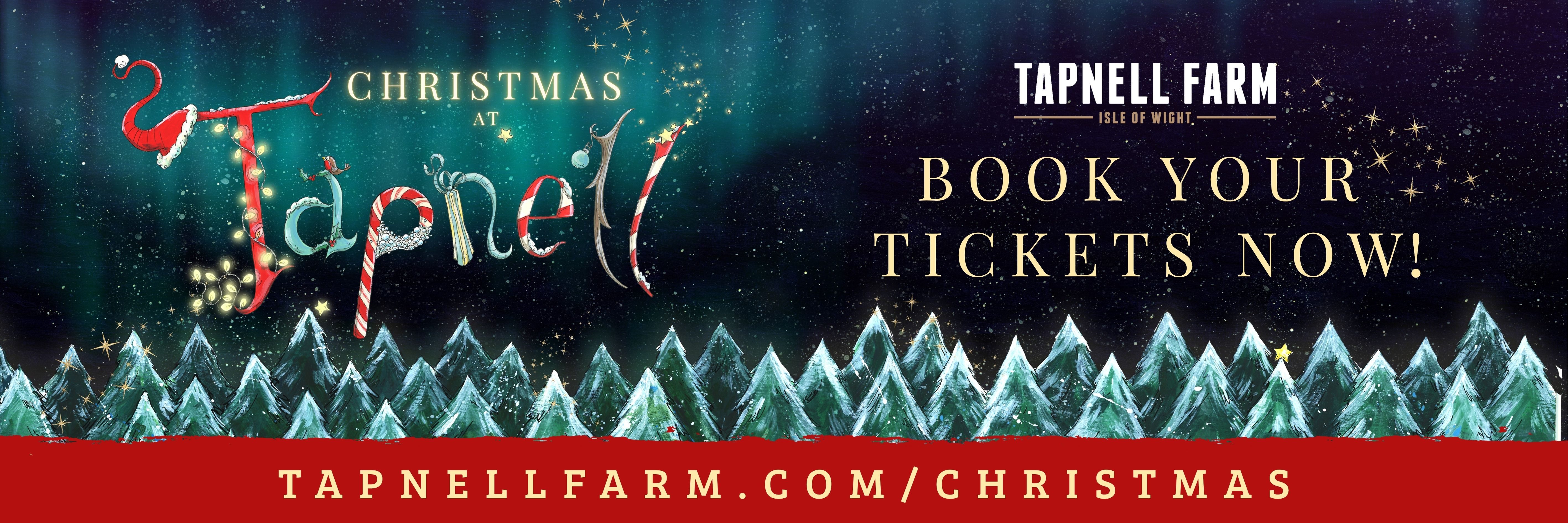 Christmas at Tapnell Slide web banner
