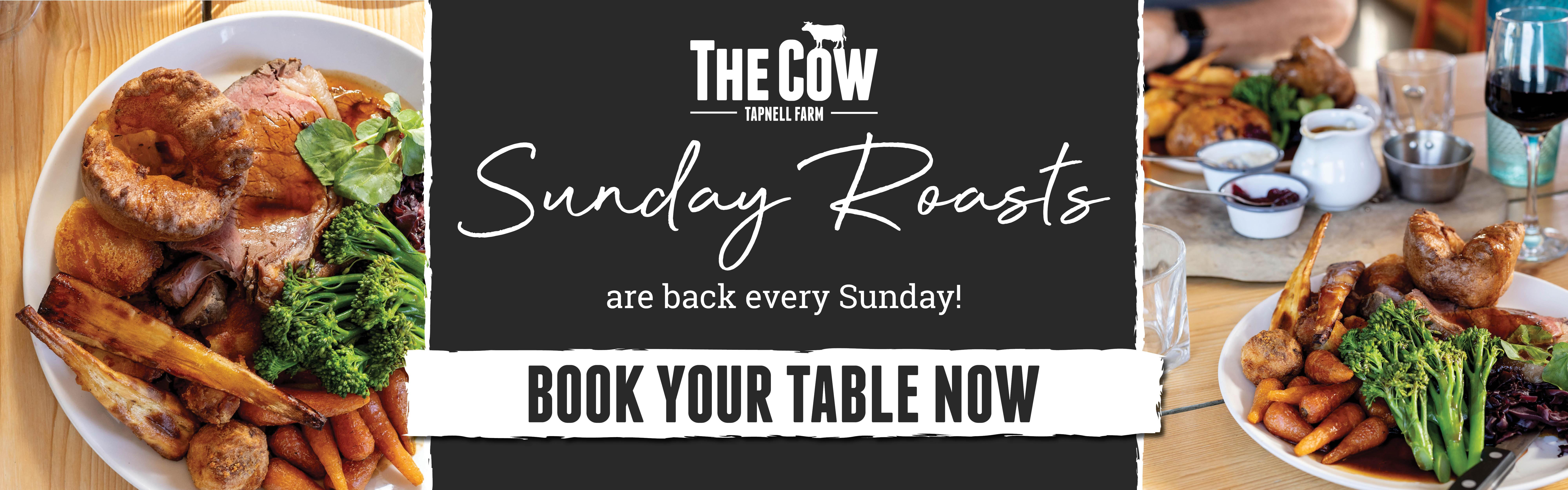 Cow Roasts Web Banner