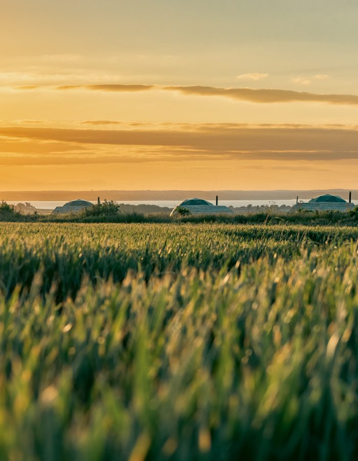 Tapnell Farm Dome Meadow