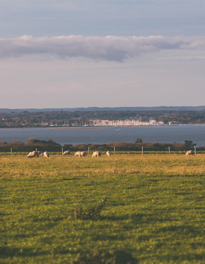 View of Solent 3