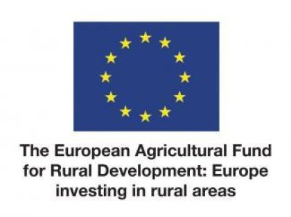 EU logo for all publications