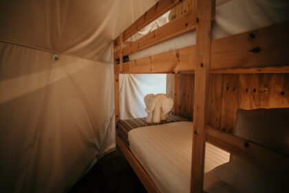 Tapnell Farm New Dome Meadow bunk beds
