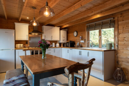 Toms Eco Lodge wood cabin kitchen area
