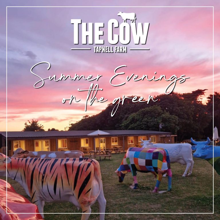 Cow Summer Evenings on the Green