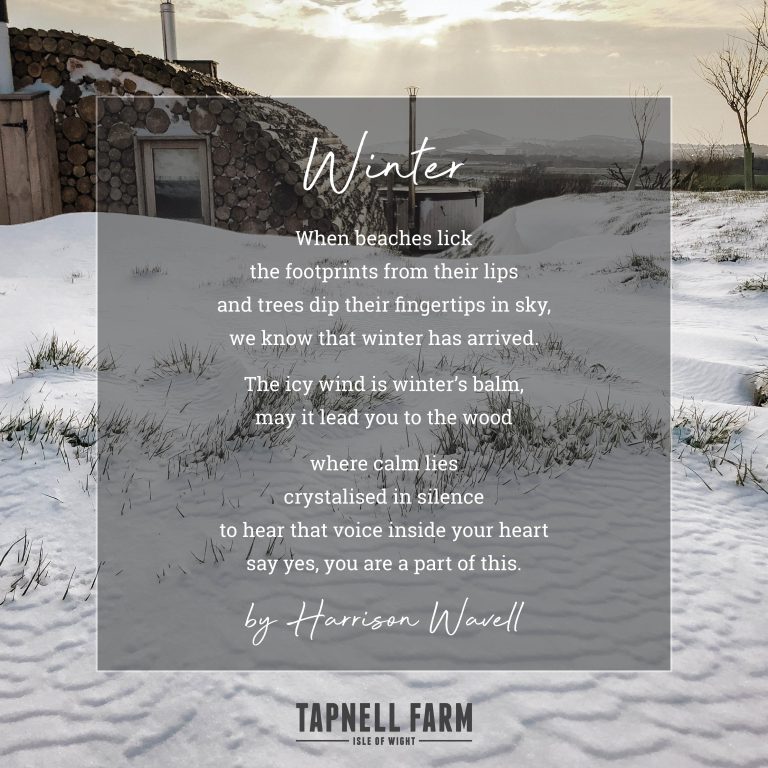 TAPNELL FARM Winter