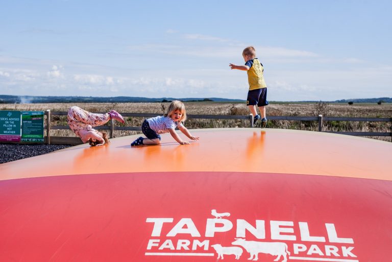 Tapnell Farm Park Bouncy Pillow Kids tumble