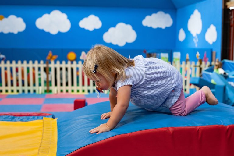 Tapnell Farm Park Toddler indoor soft play