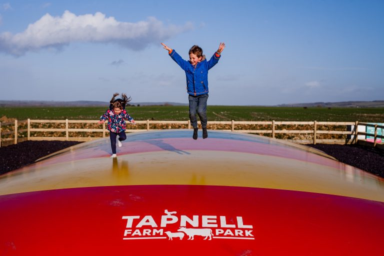 Tapnell Farm Park new bouncy pillow