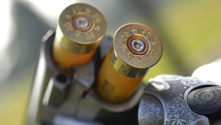 Top Targets ammunition