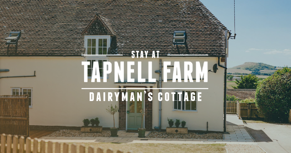 Dairyman's Cottage Tapnell Farm Isle of Wight
