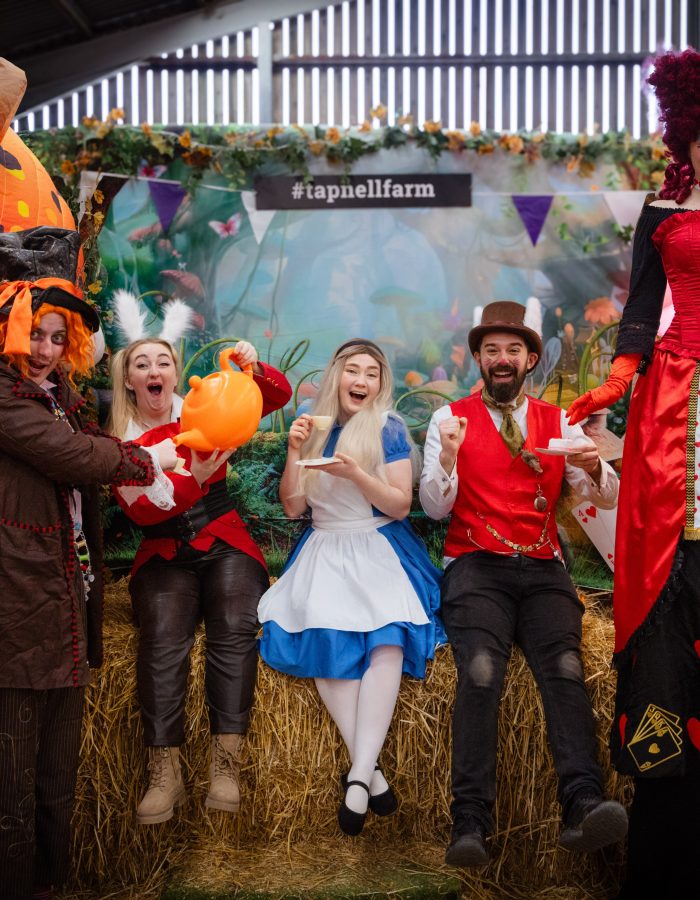 Alice in Wonderland Tapnell Farm Park 2024 Events 8