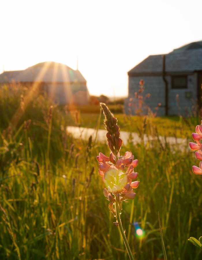 Tapnell Farm Domes PH imagery