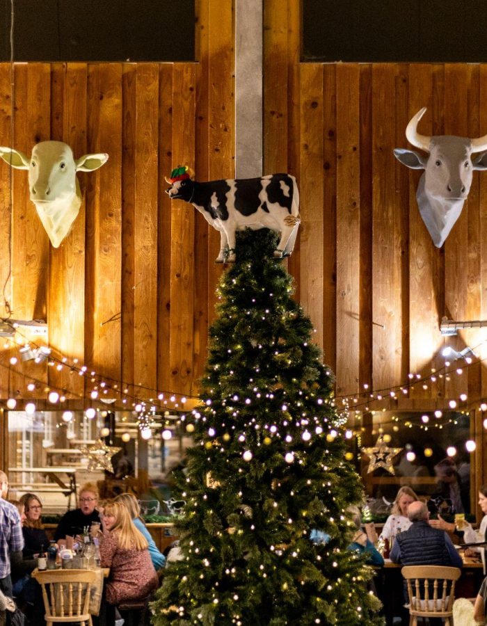 The Cow Tapnell Farm Quiz Nights 22