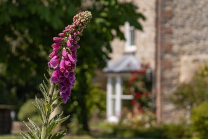 East Afton Farmhouse Wedding Venue Spring Gardens 23