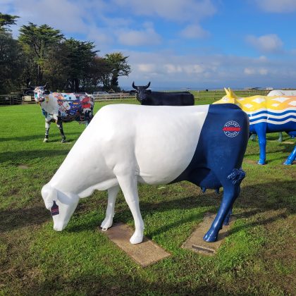 Image of the Joedan Cow Cow