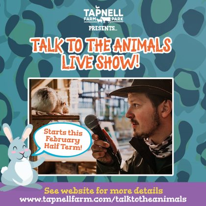 TAPNELL FARM PARK TALK TO THE ANIMALS SHOW SOCIAL SQUARE