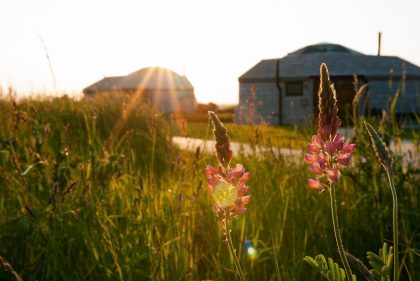 Tapnell Farm Domes PH imagery