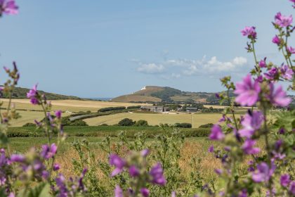 Tapnell Farm Isle of Wight No Fuss Glamping view